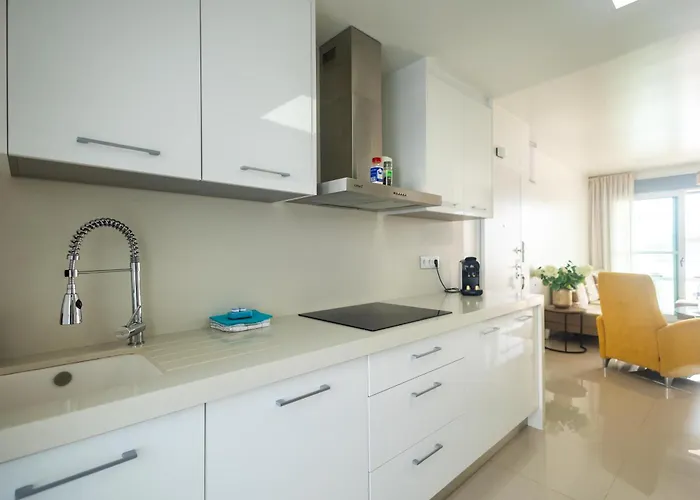 Mirador Del Mar 公寓 托雷维耶哈